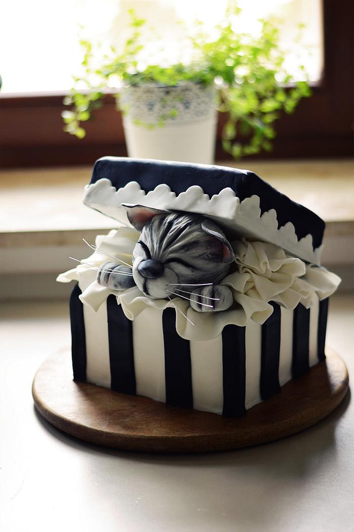 Gift box cake with a cute kitty 