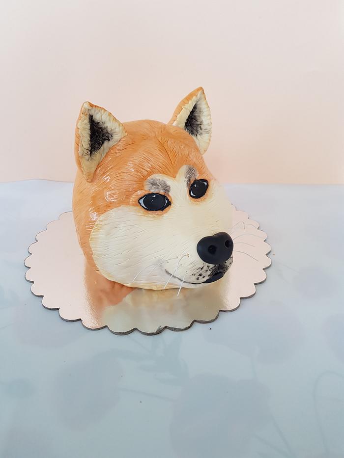 Akita dog cake