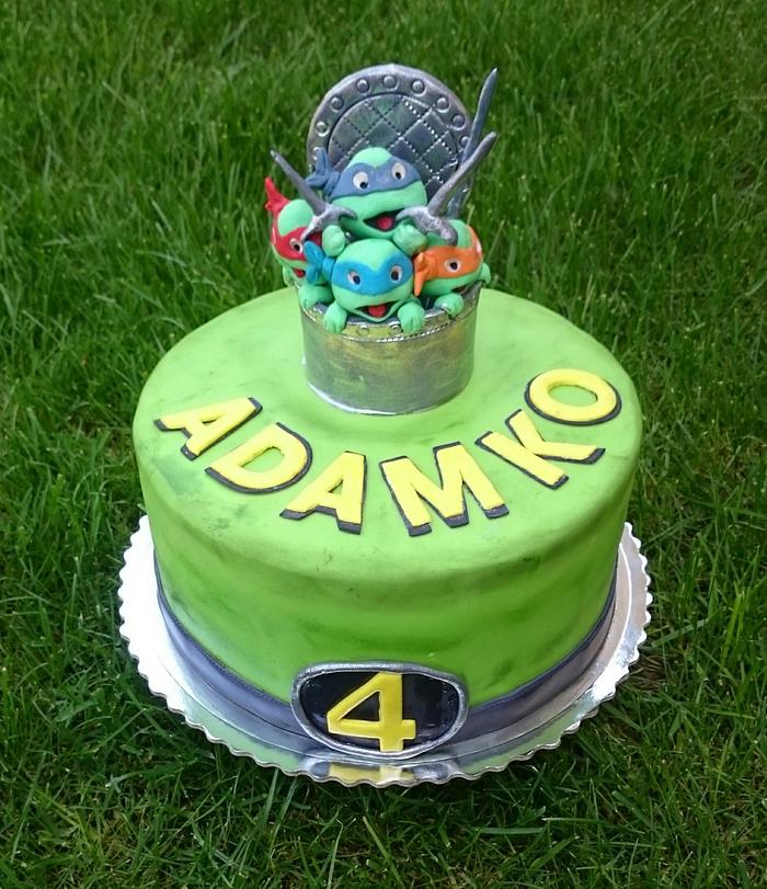 Ninja turtles birthday cake
