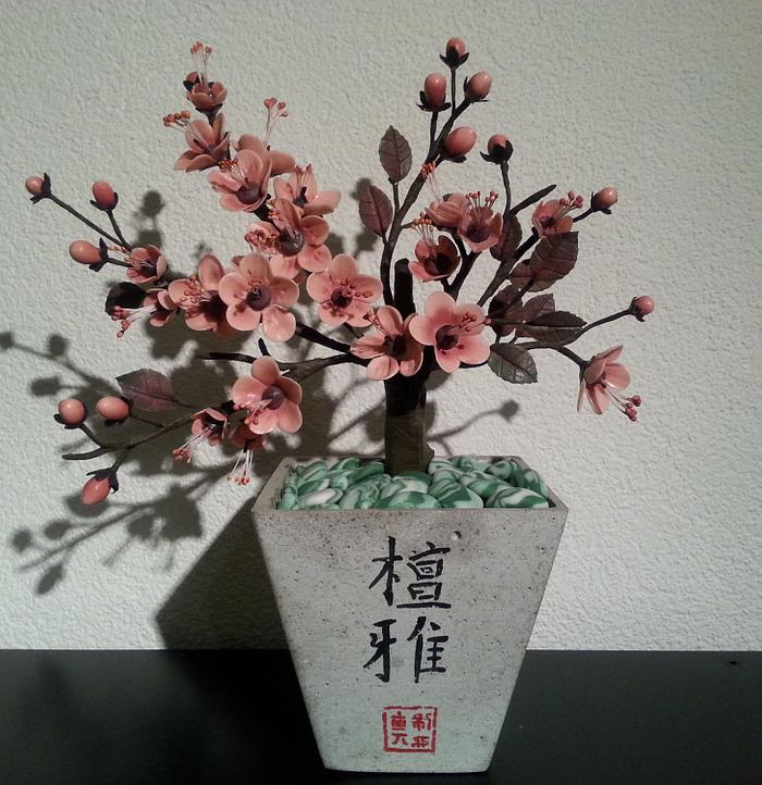 Plum Blossom Tree