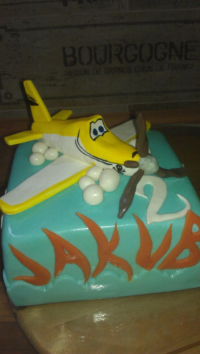 the planes cake