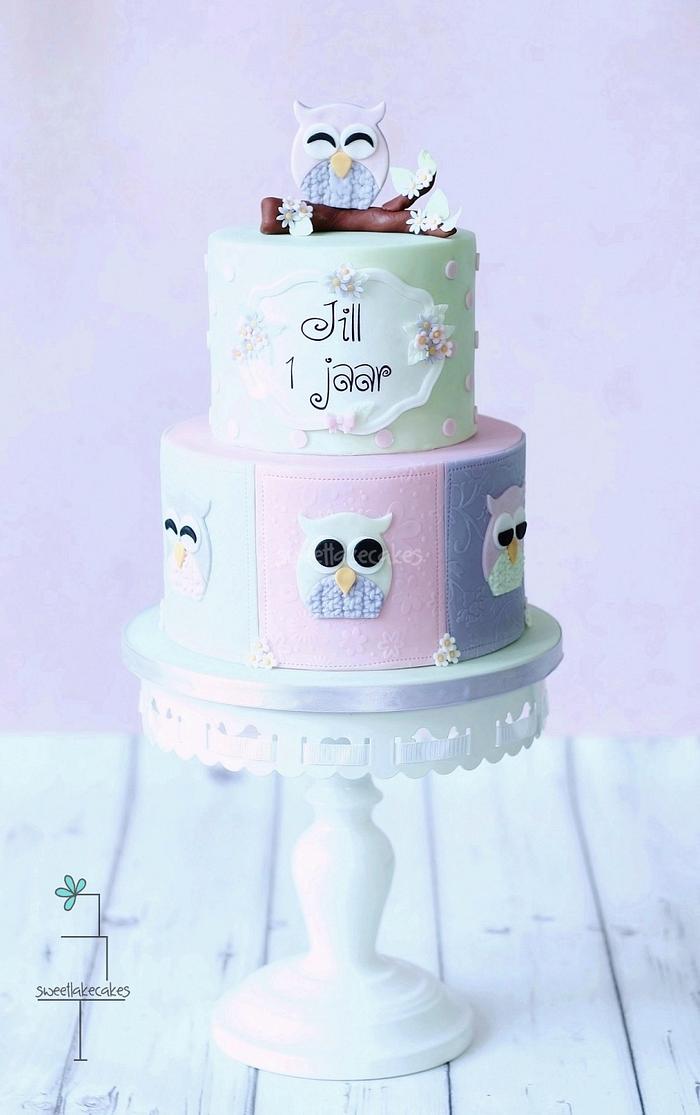 Cute owls cake
