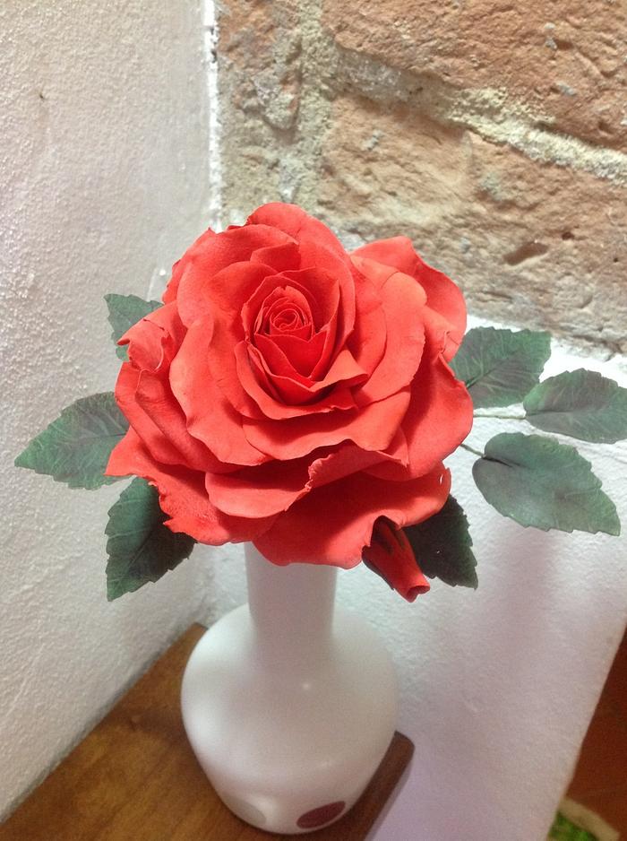 A red rose for Valentine