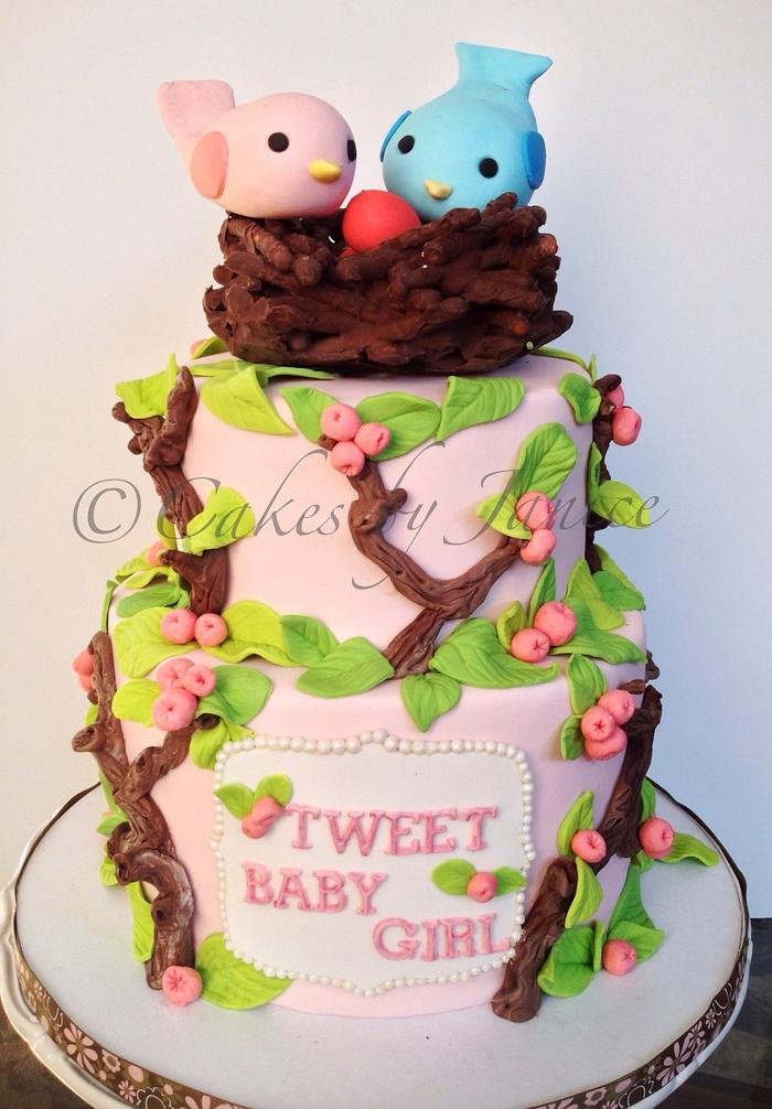 Bird themed baby shower cake