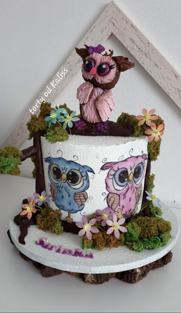  Owls bday cake