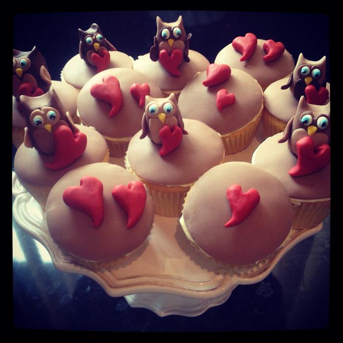 Cute love owl cupcakes