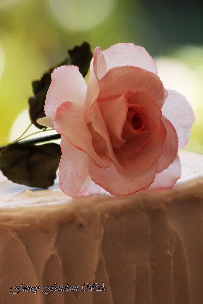 Rose engagement cake