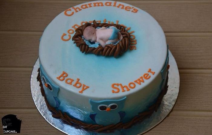 Owl theme baby shower cake 