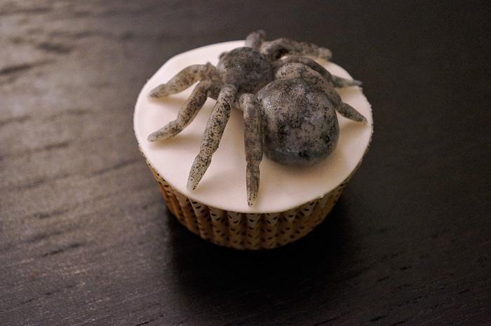 Spider cupcake