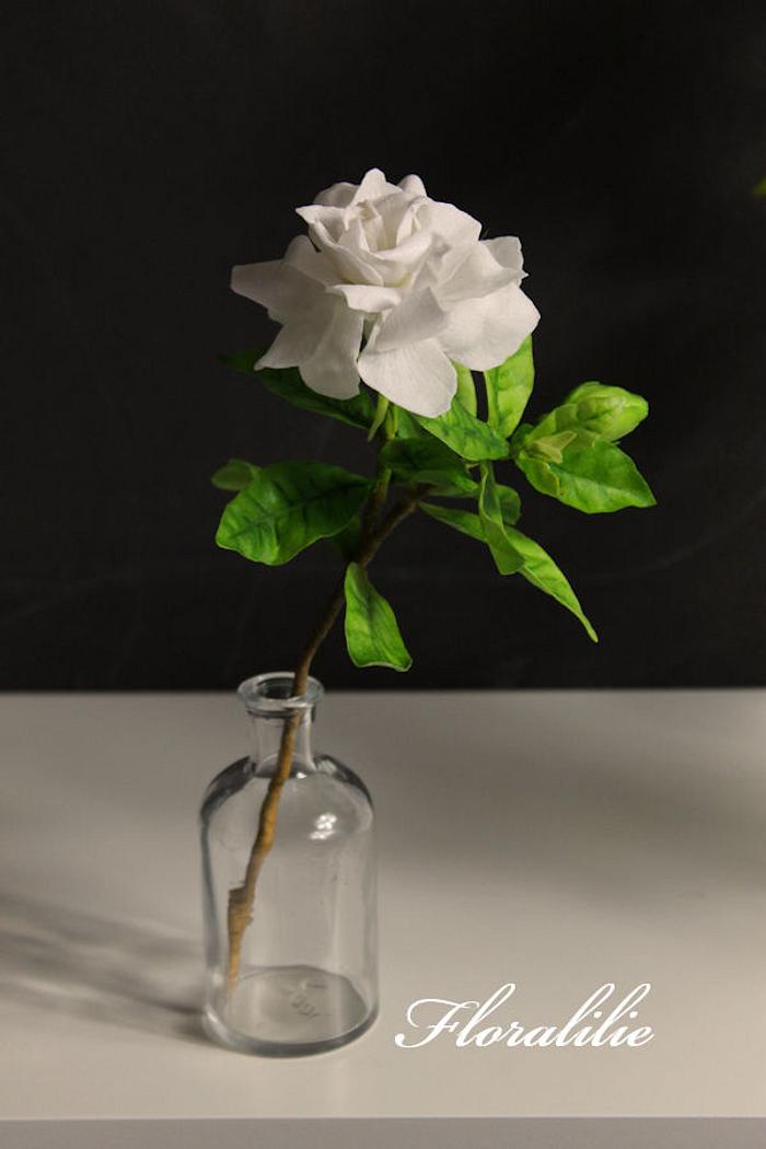 Wafer Paper Gardenia