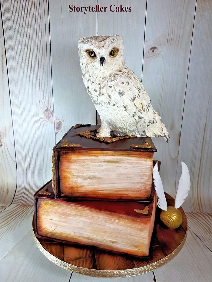 Harry Potter Owl/Book Cake
