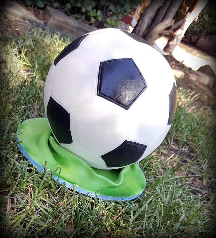 3D Soccer Ball Cake