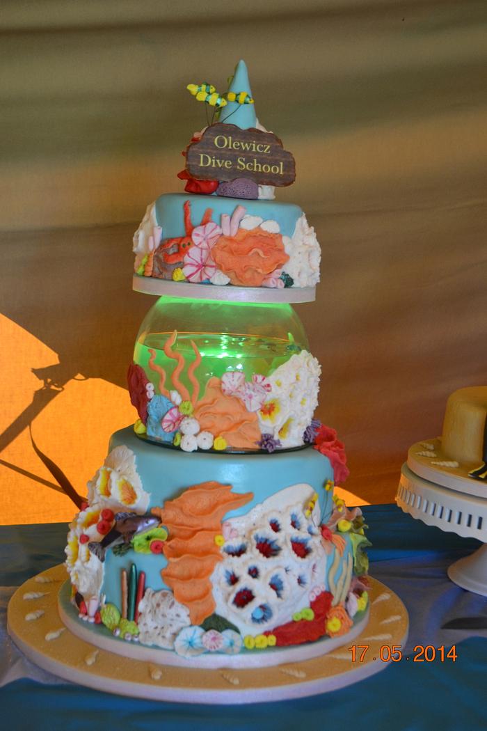 Coral reef cake