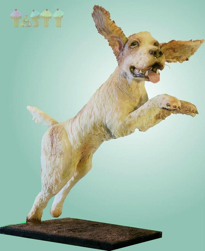 Gravity defying jumping dog cake 