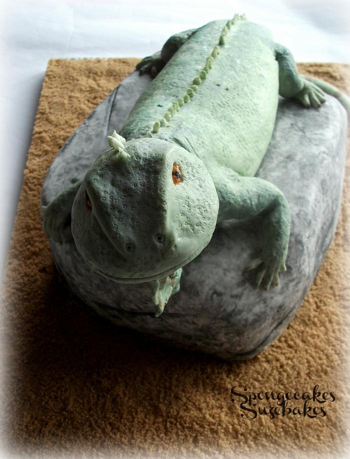 3D Iguana Cake