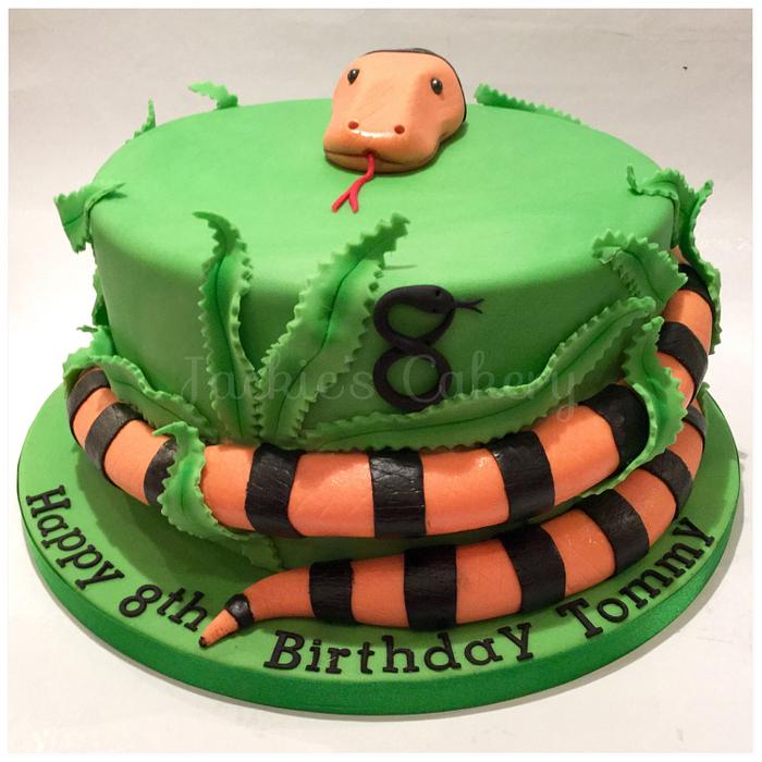 Rainbow snake cake with M&M centre