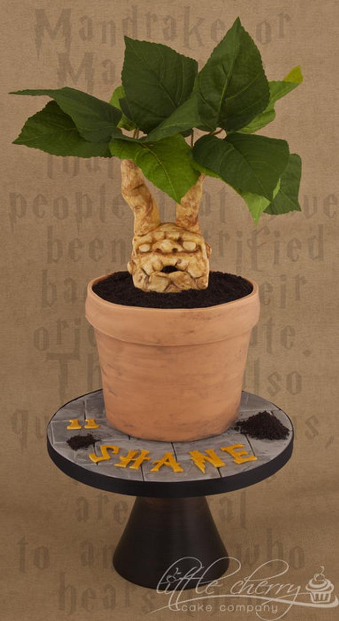 Mandrake Plant Cake Harry Potter