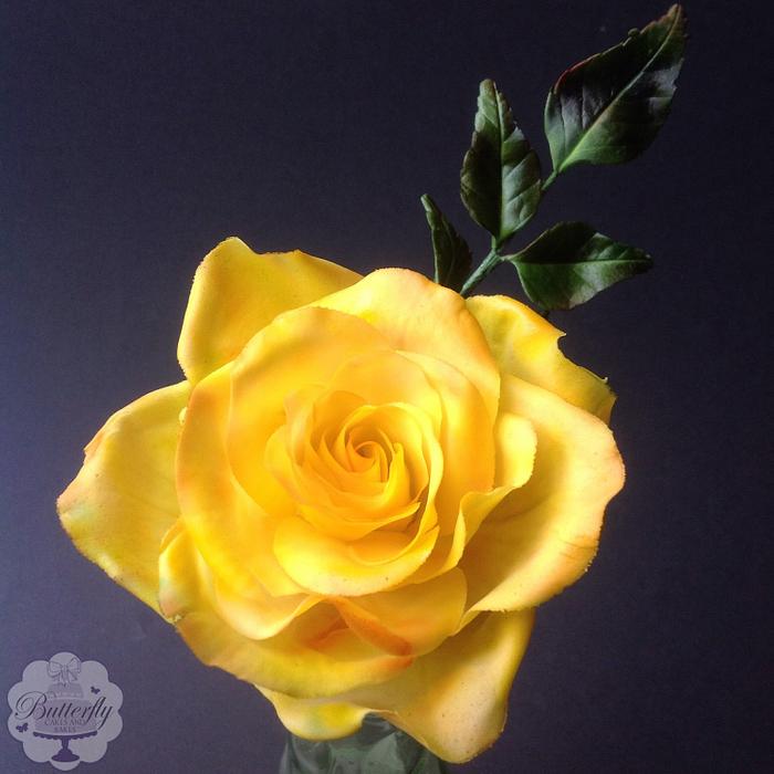 Yellow rose for friendship