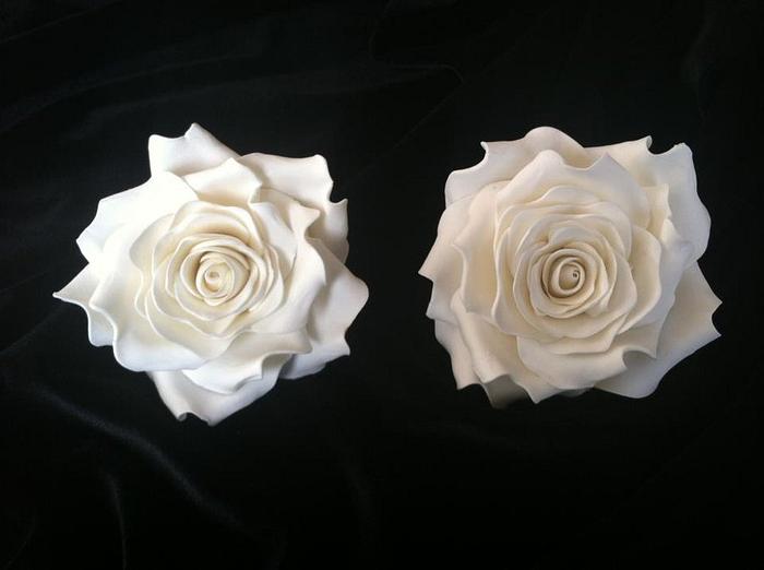 White gumpaste roses