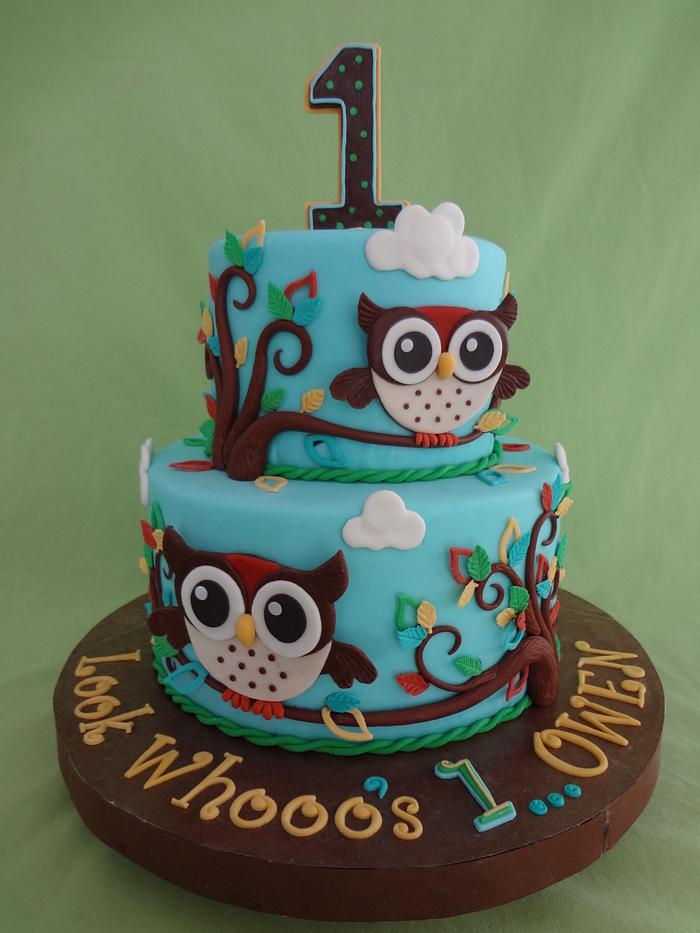 Boy Owl Cake
