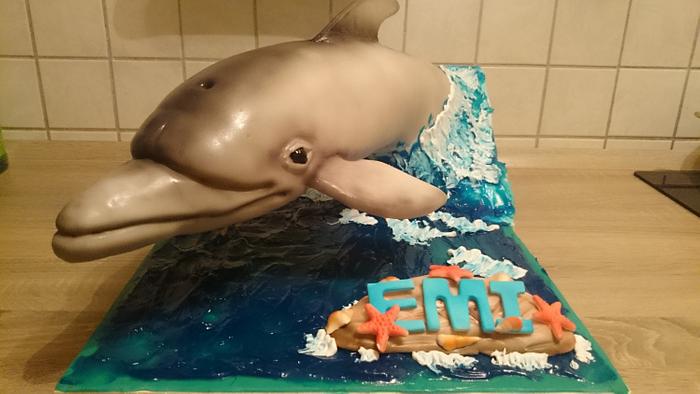 3D dolphin cake