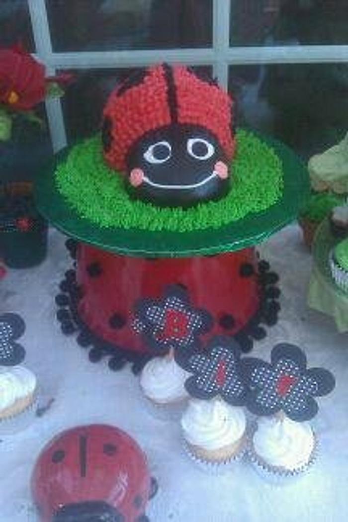 LadyBug Smash Cake 1