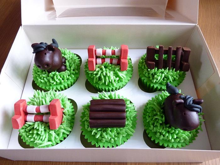 Horse and jumps cupcakes