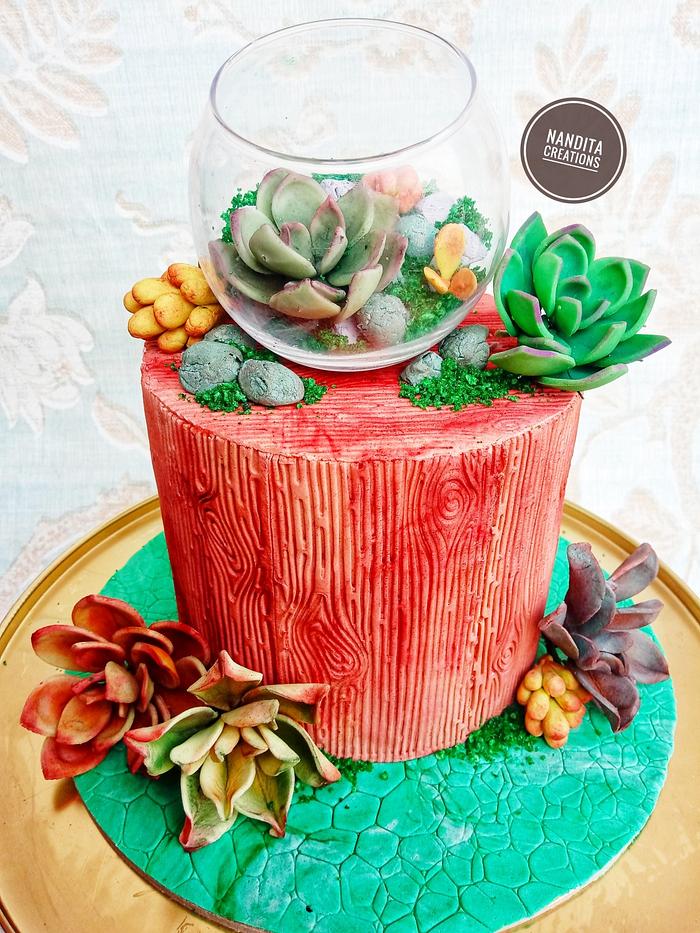 Cake with succulents
