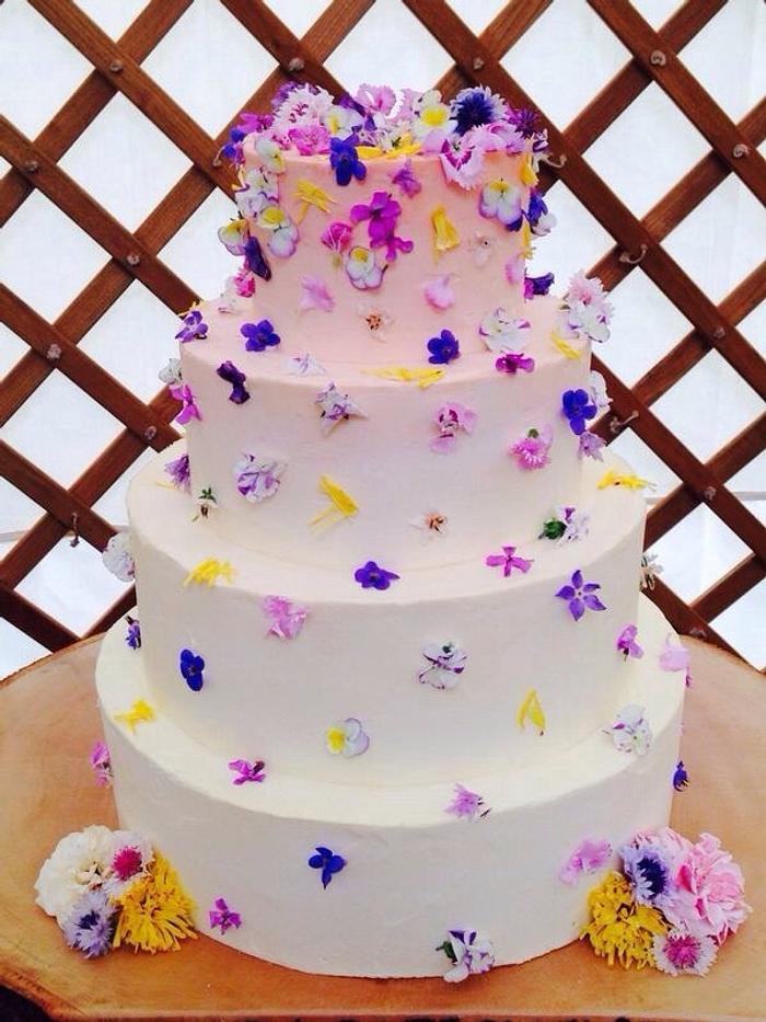Blush pink ombre cake with edible flowers