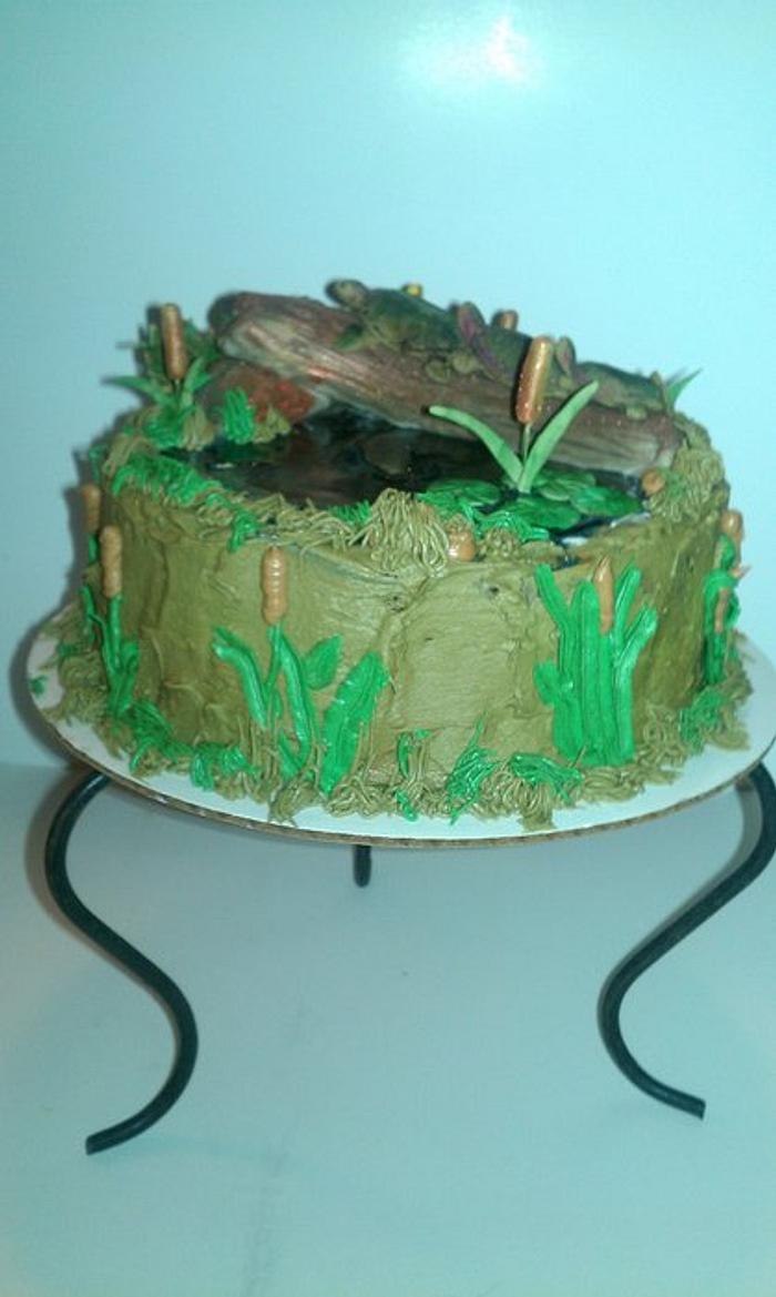 Turtle birthday cake