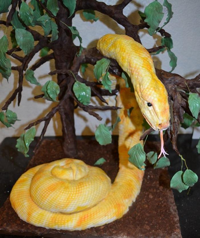 Bermese Python in Tree