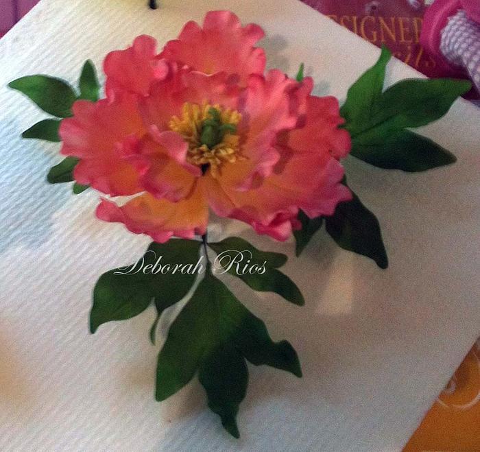 Gumpaste open peony 