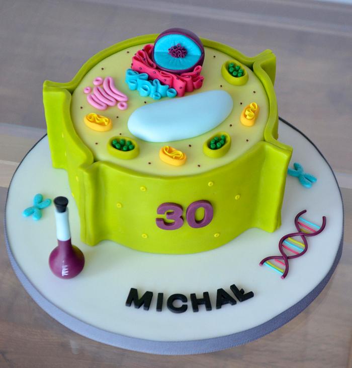 Plant cell cake