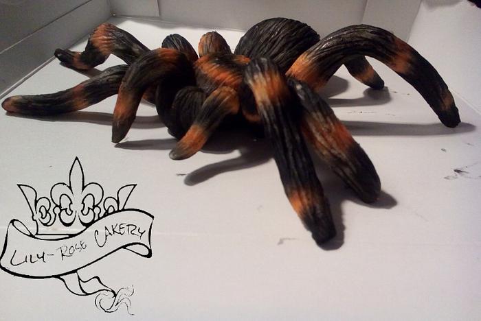 Modeling chocolate tarantula