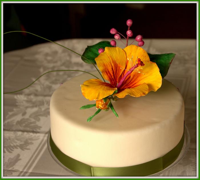 hibiscus cake