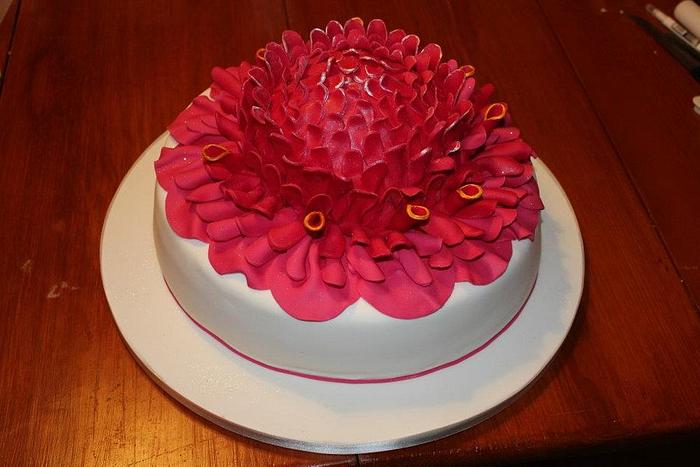 Cake pink porcelain Angolan