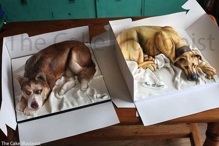 cake dogs in cake boxes