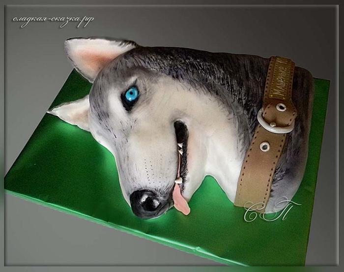 Cake "Husky Dog"