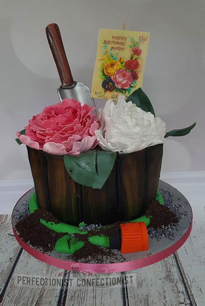 Marie - Gardening Pot Plant Cake 