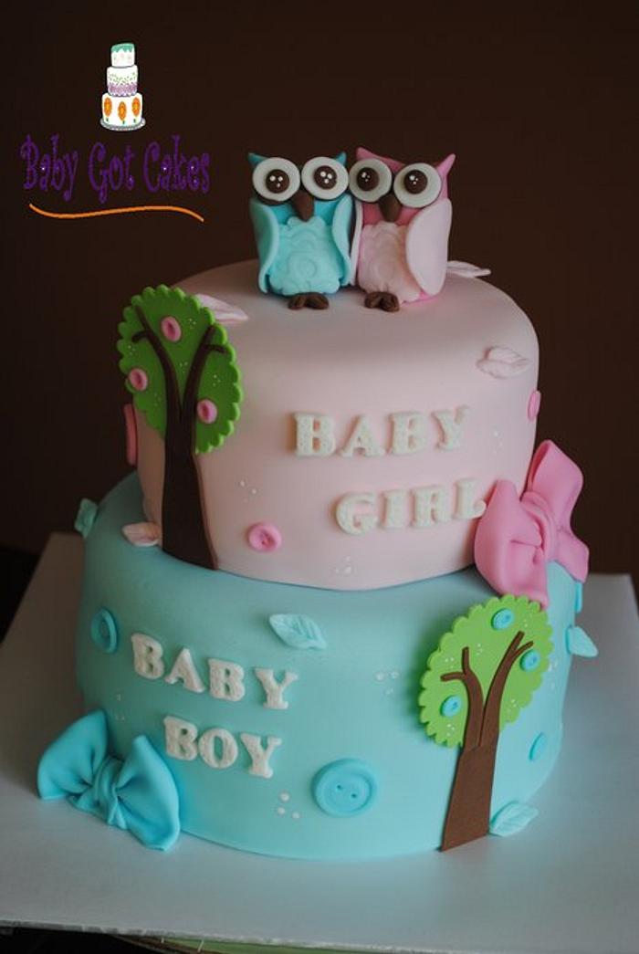 Twin Owls Baby Shower Cake