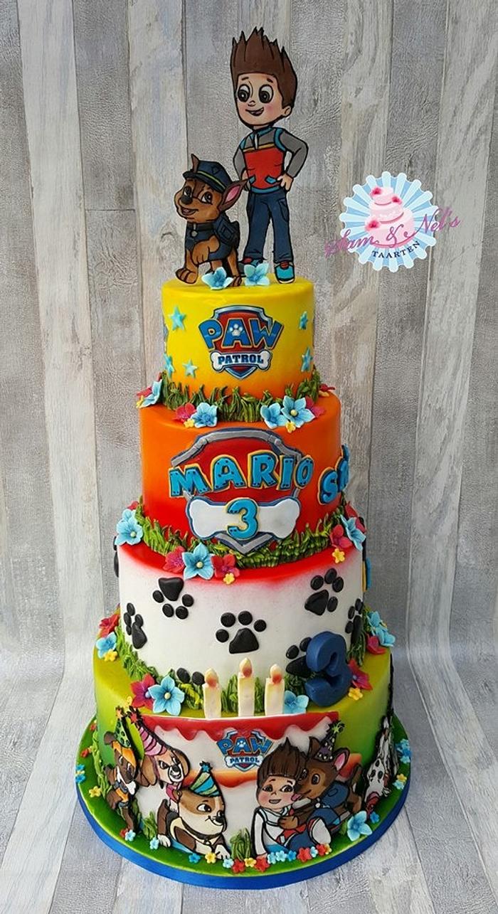 Paw Patrol cake - Decorated Cake by Sam & Nel's Taarten - CakesDecor