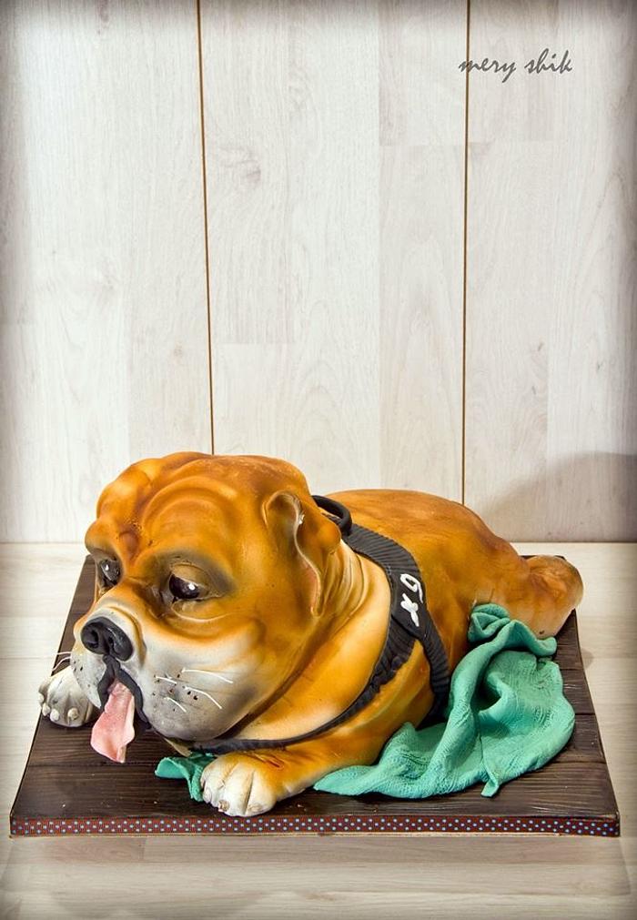 Bulldog cake