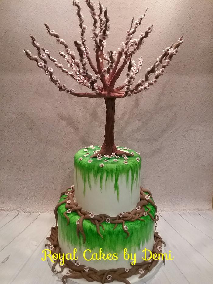 Almond tree,Spring cake