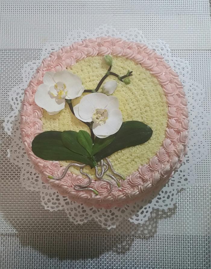 Moth orchid cake