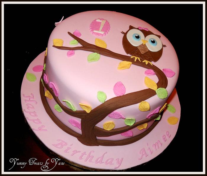 Owl Cake and Cupcakes!