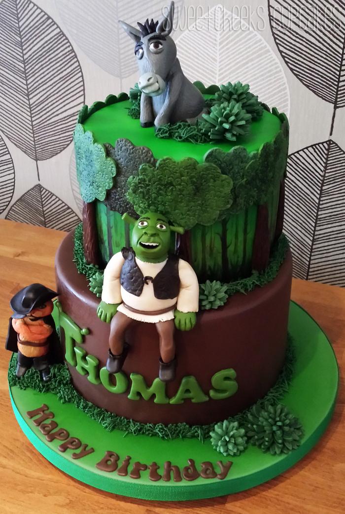 2 Tier Shrek Cake