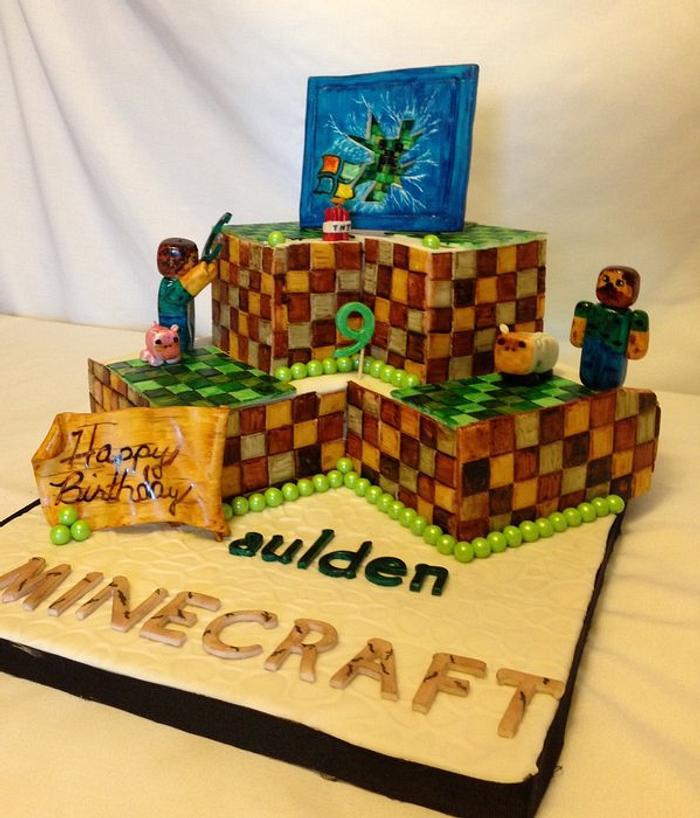 Hand Painted Minecraft Birthday Cake
