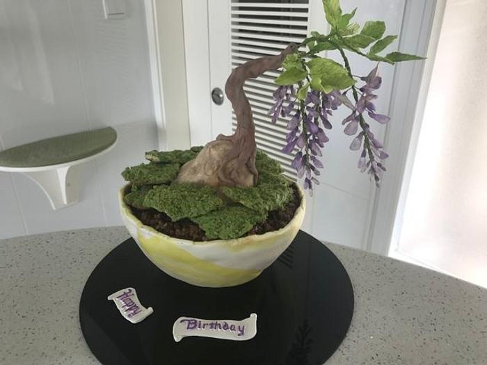 wisteria bonsai cake