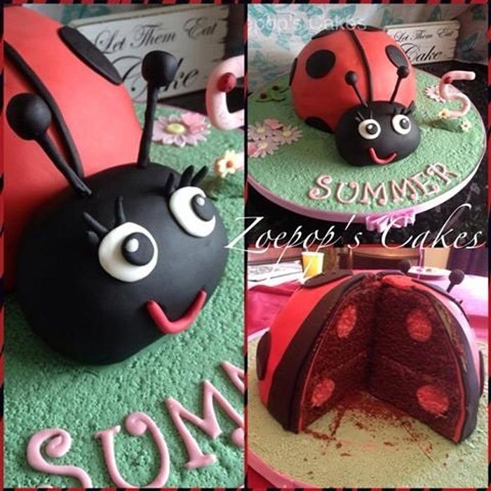 Spotty Dotty inside and out ladybird cake.