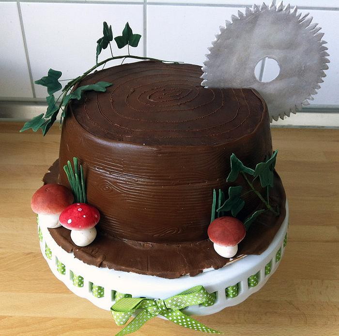 Chocolate cake for a craftsman